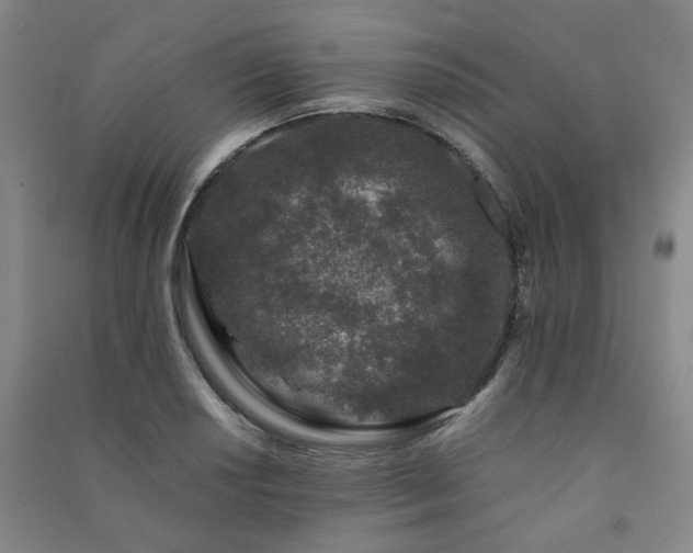 X0000091221034200708161652