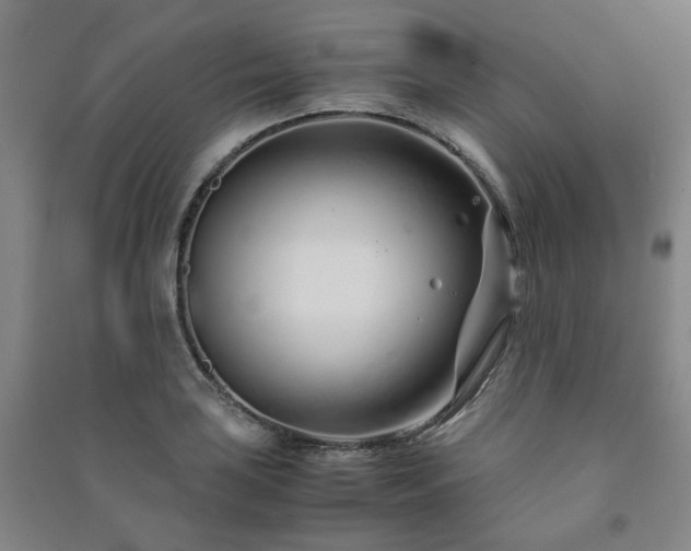 X0000091221035200708161652