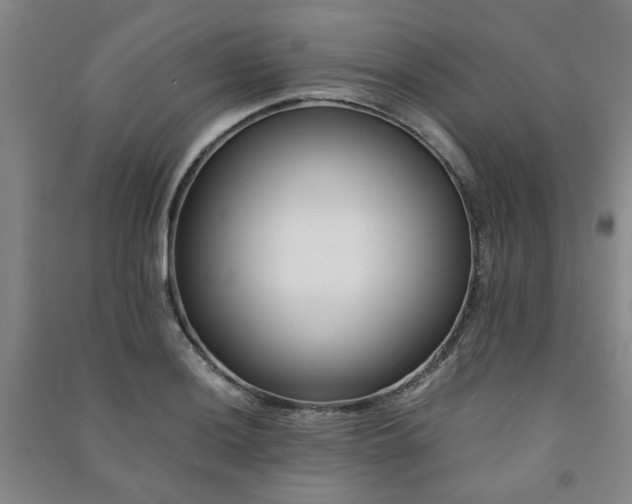 X0000091221036200708161652