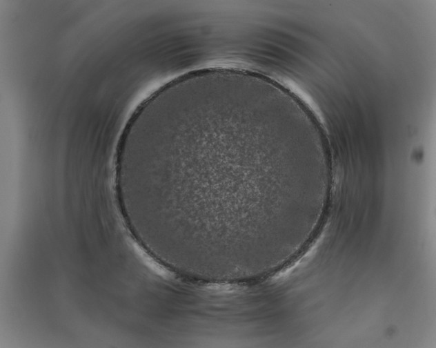 X0000091221037200708161652