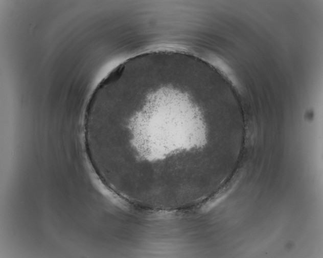 X0000091221038200708161652