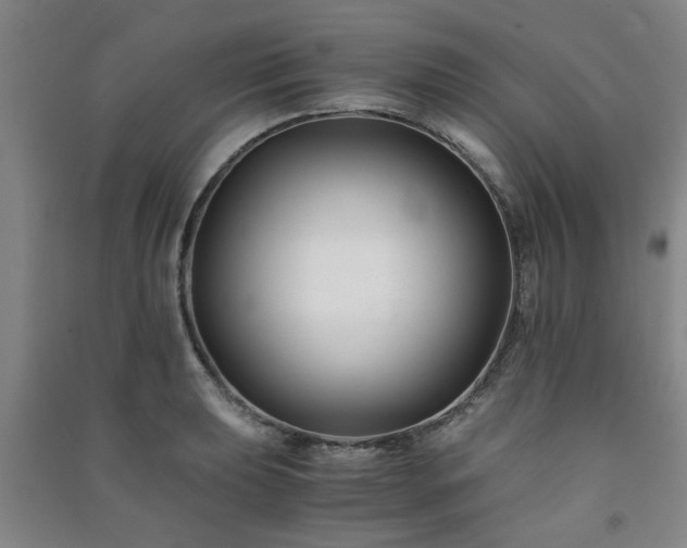 X0000091221039200708161652