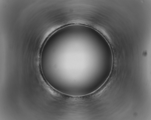 X0000091221040200708161652