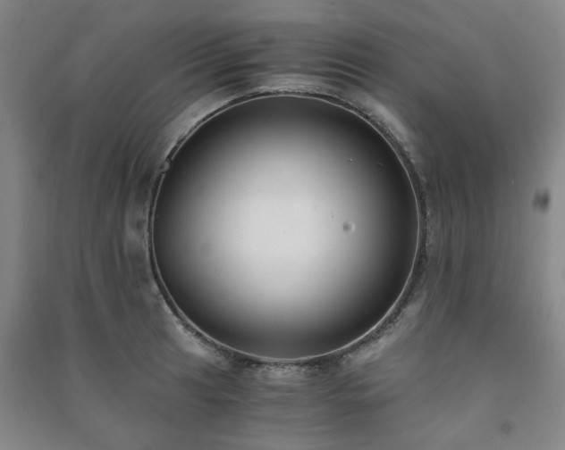 X0000091221041200708161652