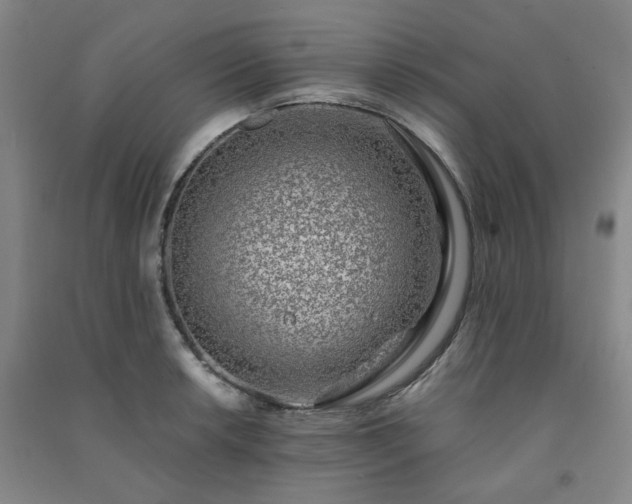 X0000091221042200708161652