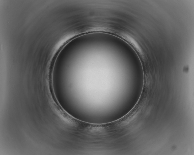 X0000091221043200708161652