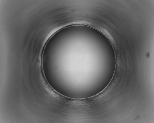 X0000091221044200708161652