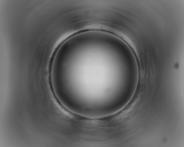 X0000091221045200708161652