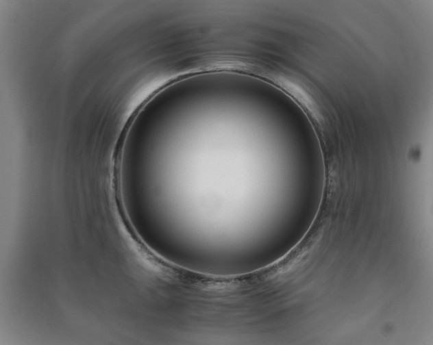 X0000091221047200708161652