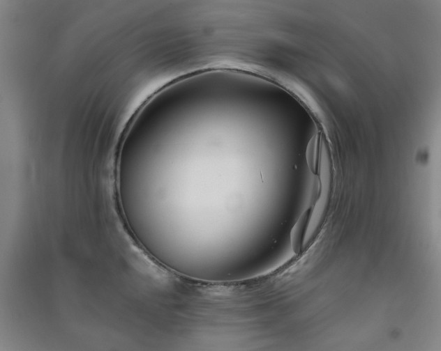 X0000091221048200708161652