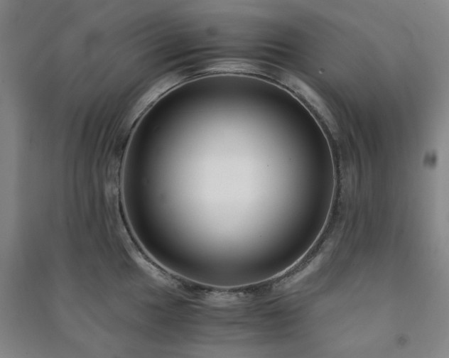 X0000091221049200708161652