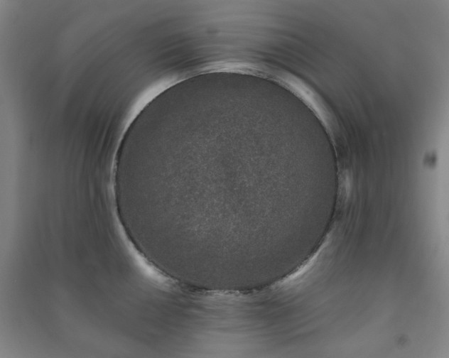 X0000091221050200708161652