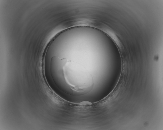 X0000091221051200708161652