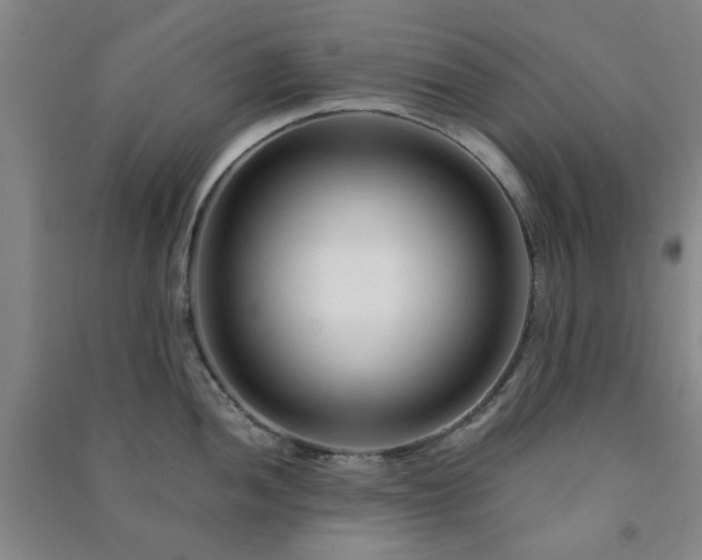 X0000091221052200708161652