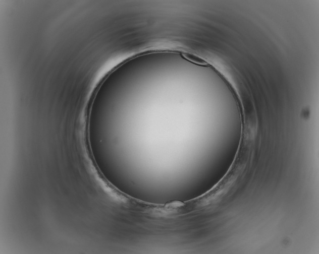 X0000091221053200708161653