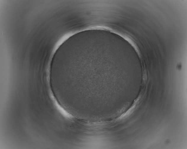 X0000091221054200708161653