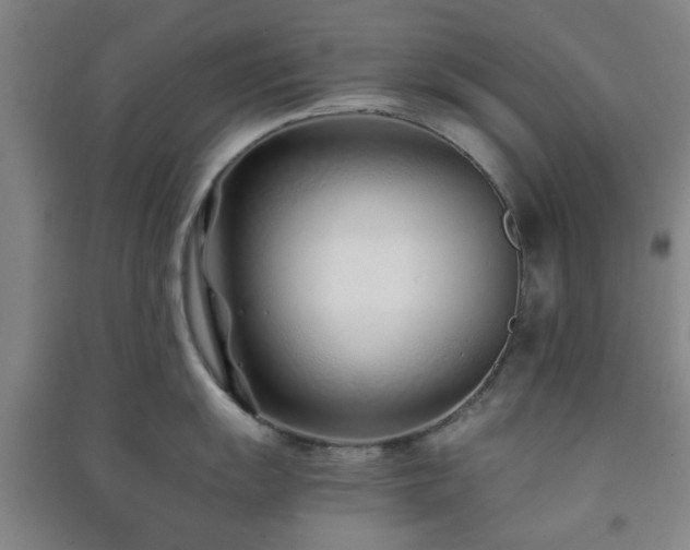 X0000091221055200708161653