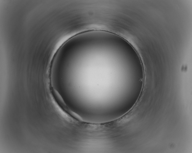 X0000091221056200708161653