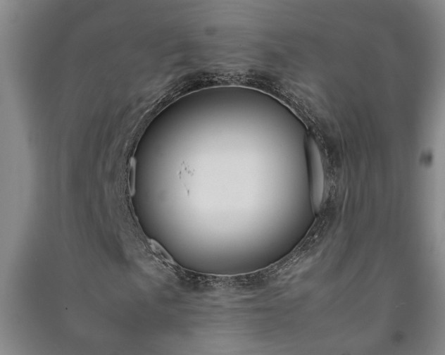 X0000091221057200708161652