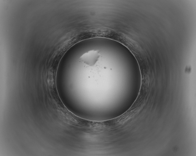 X0000091221058200708161652