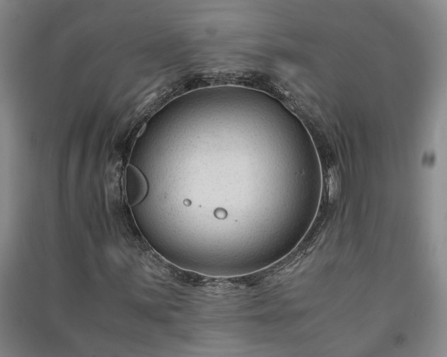 X0000091221059200708161652