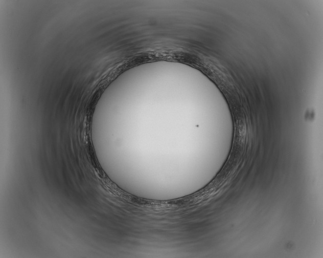 X0000091221060200708161652