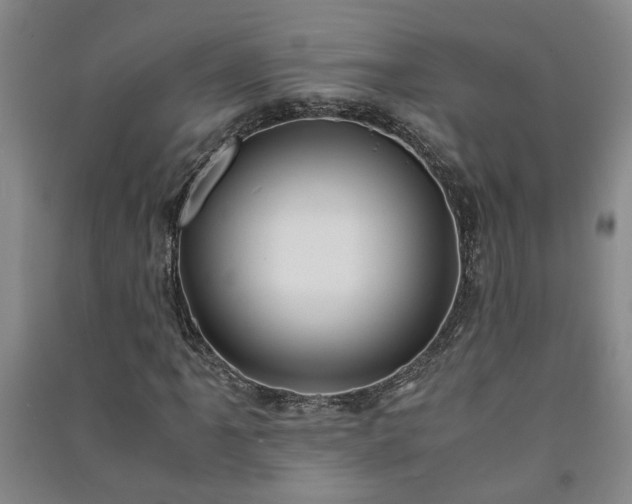 X0000091221061200708161652