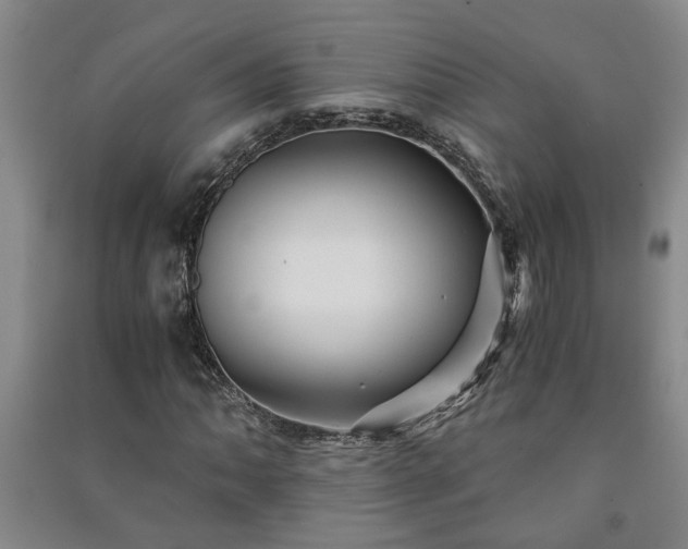 X0000091221062200708161652