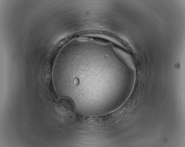 X0000091221063200708161652