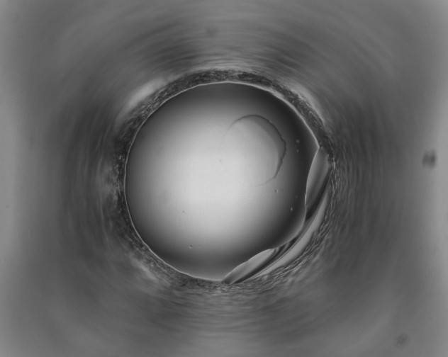 X0000091221064200708161652