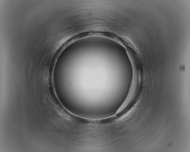 X0000091221065200708161652