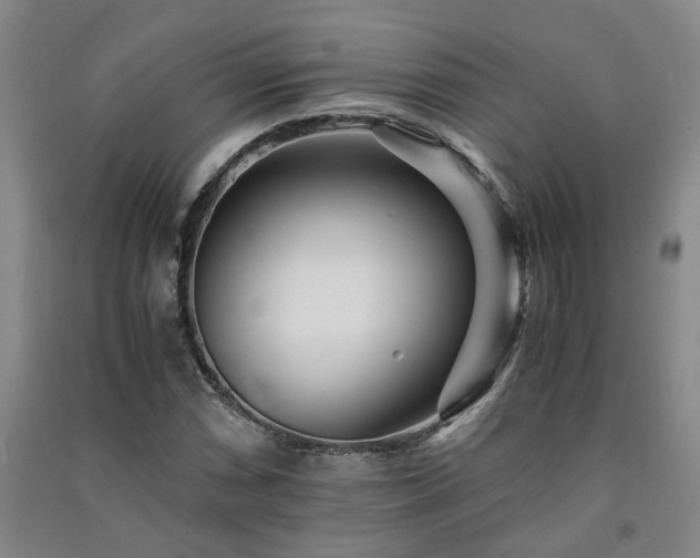 X0000091221066200708161652