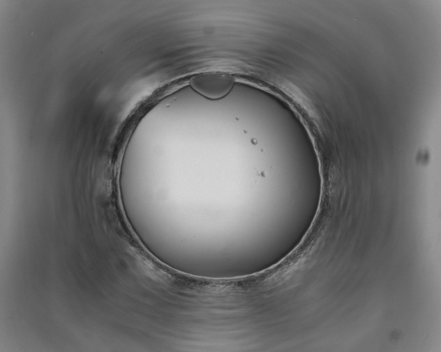 X0000091221067200708161652