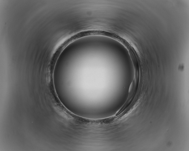 X0000091221069200708161652