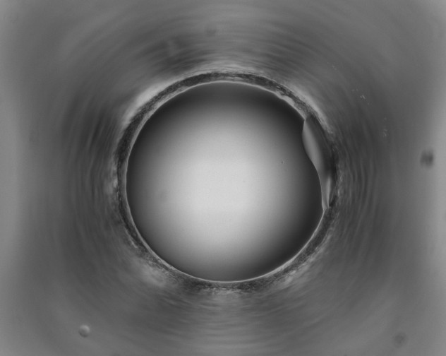 X0000091221070200708161652