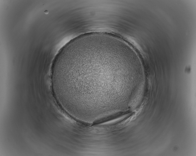 X0000091221071200708161652