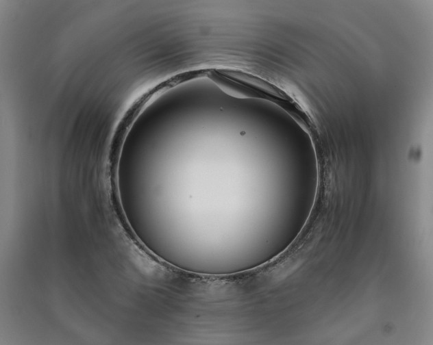 X0000091221072200708161652