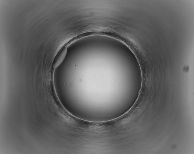 X0000091221073200708161652