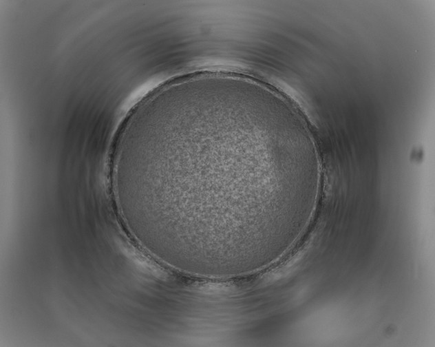 X0000091221074200708161652