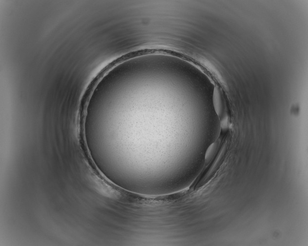 X0000091221076200708161652