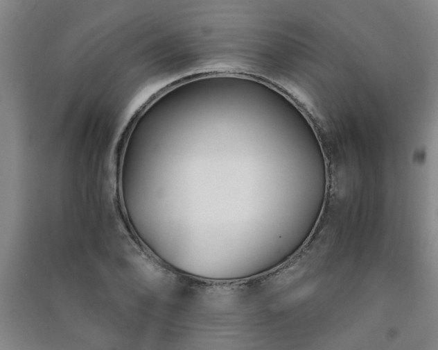 X0000091221078200708161652