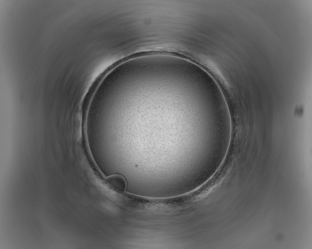 X0000091221079200708161652