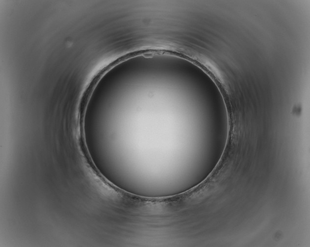 X0000091221080200708161652