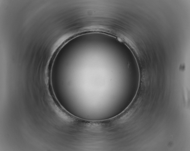 X0000091221082200708161652