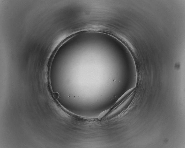 X0000091221083200708161652