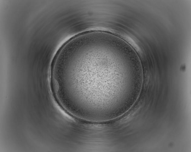 X0000091221084200708161652