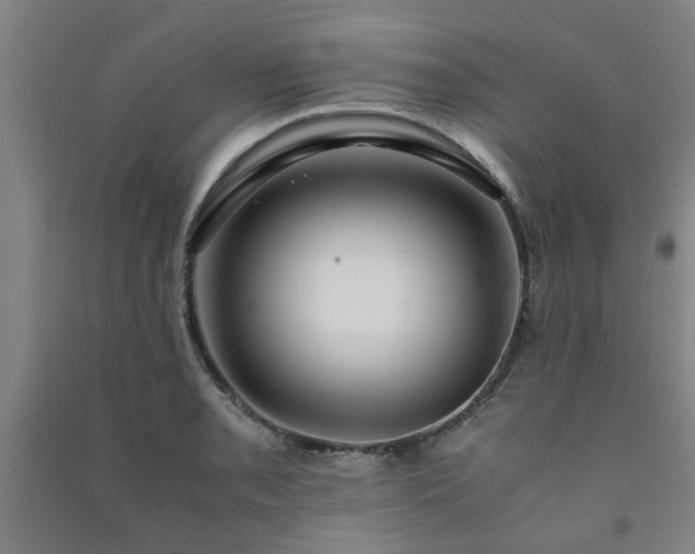 X0000091221085200708161652