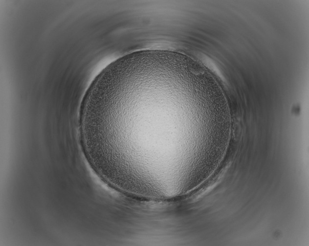 X0000091221087200708161652