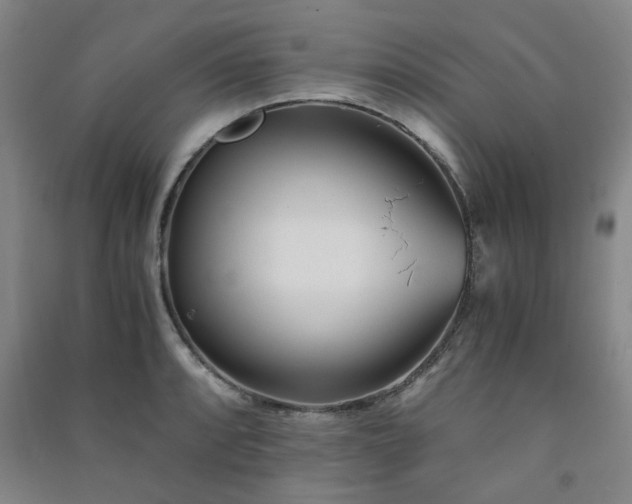 X0000091221088200708161651