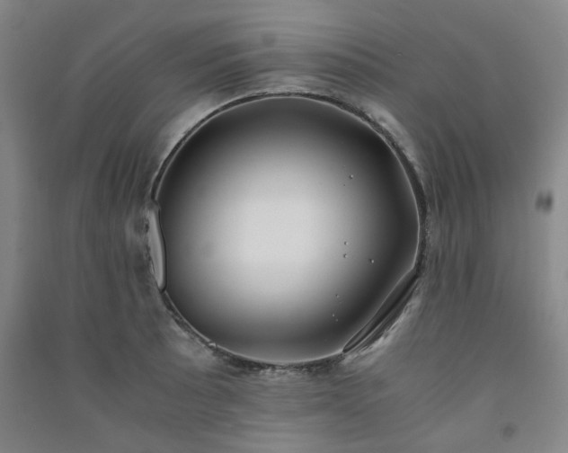 X0000091221089200708161651